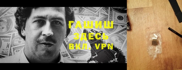 шишки Няндома