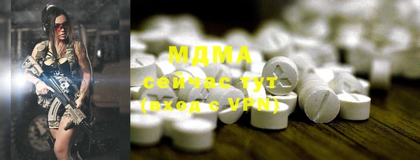 шишки Няндома