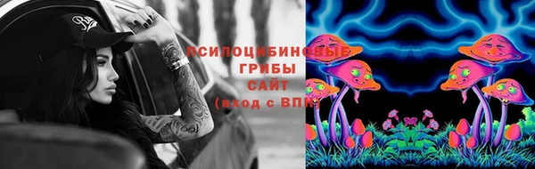 таблы Болхов
