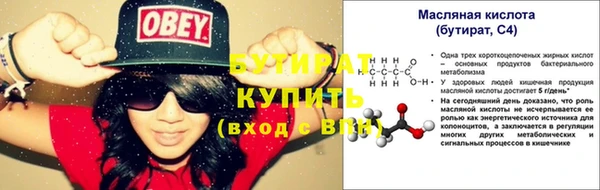 шишки Няндома