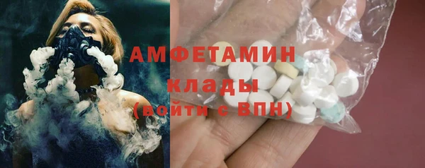 шишки Няндома