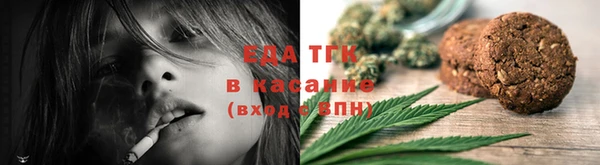 шишки Няндома