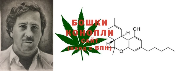 шишки Няндома