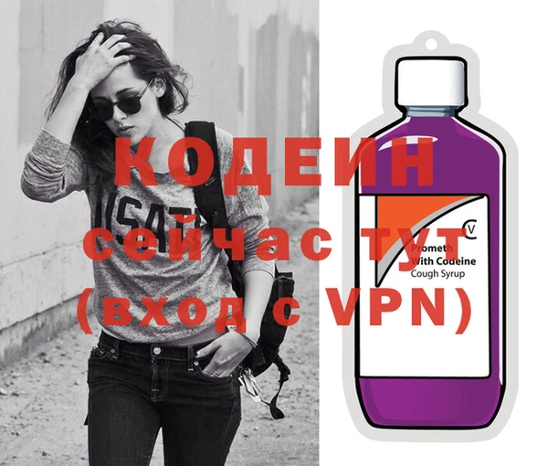 шишки Няндома
