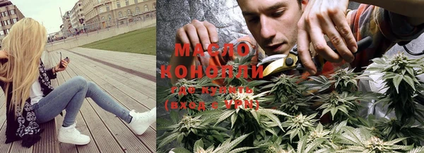 шишки Няндома