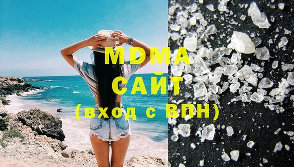 шишки Няндома