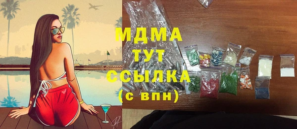шишки Няндома