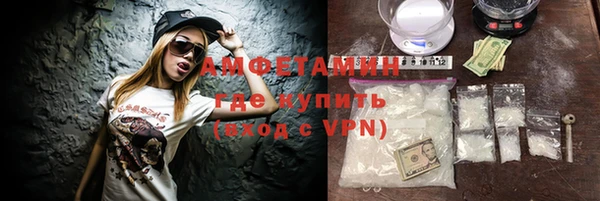 шишки Няндома