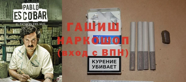 шишки Няндома