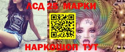 стаф Кинель