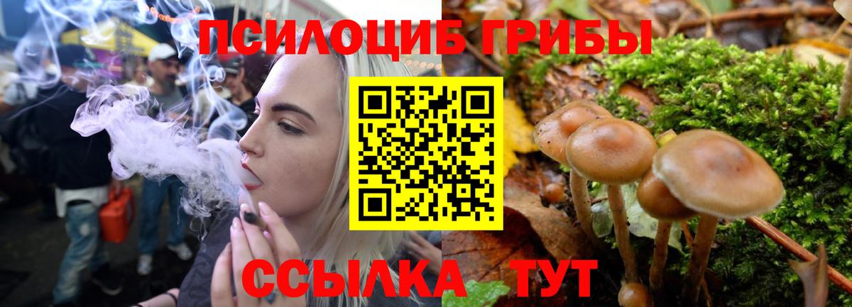 Галлюциногенные грибы мицелий  Вход с VPN  Миллерово 