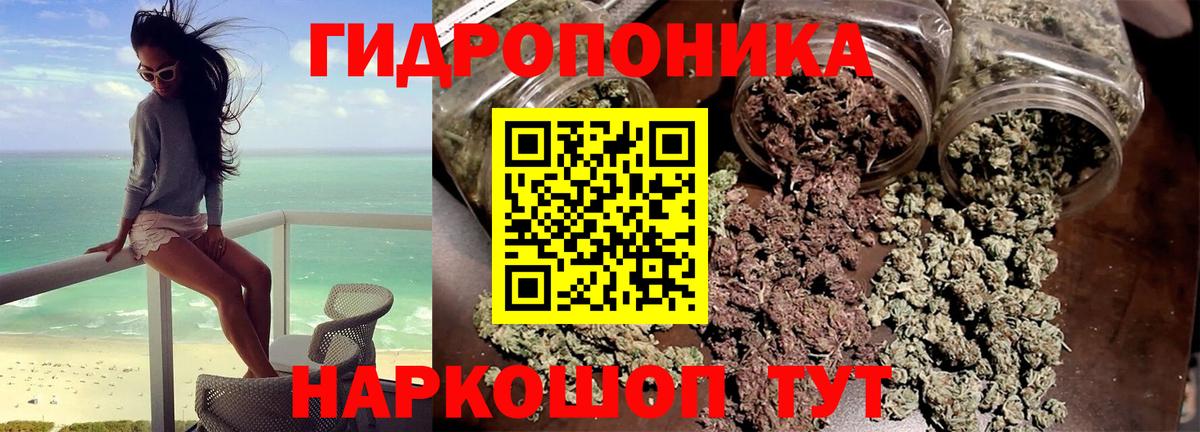 Марихуана гибрид Миллерово